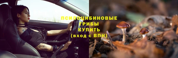 прущие грибы Богородицк