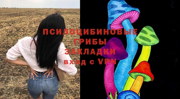 прущие грибы Богданович