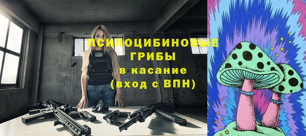 прущие грибы Богданович