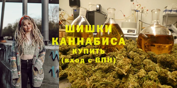 мдпв Кулебаки
