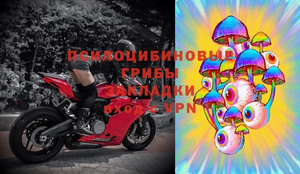 мдпв Кулебаки